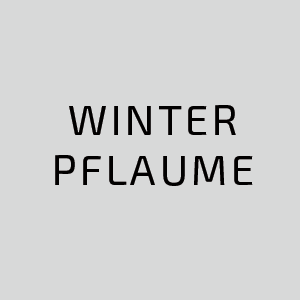 Winterpflaume